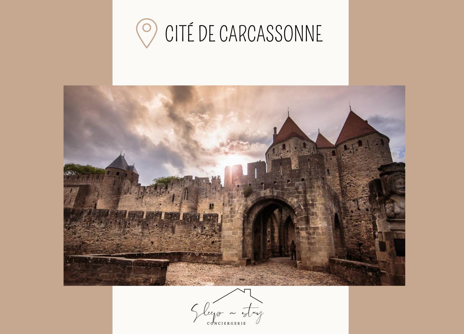 Apartment La Terasse Carcassonne Extérieur photo